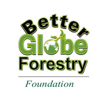 BGFF Logo